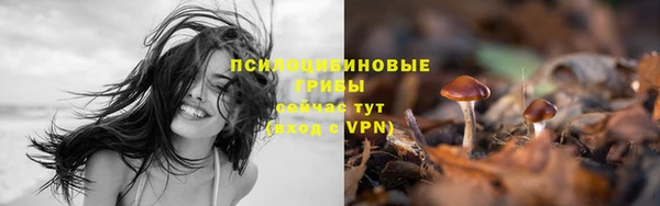 марки lsd Зерноград